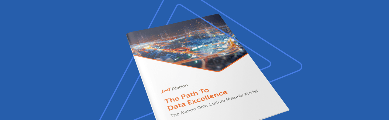 The Alation Data Culture Maturity Model